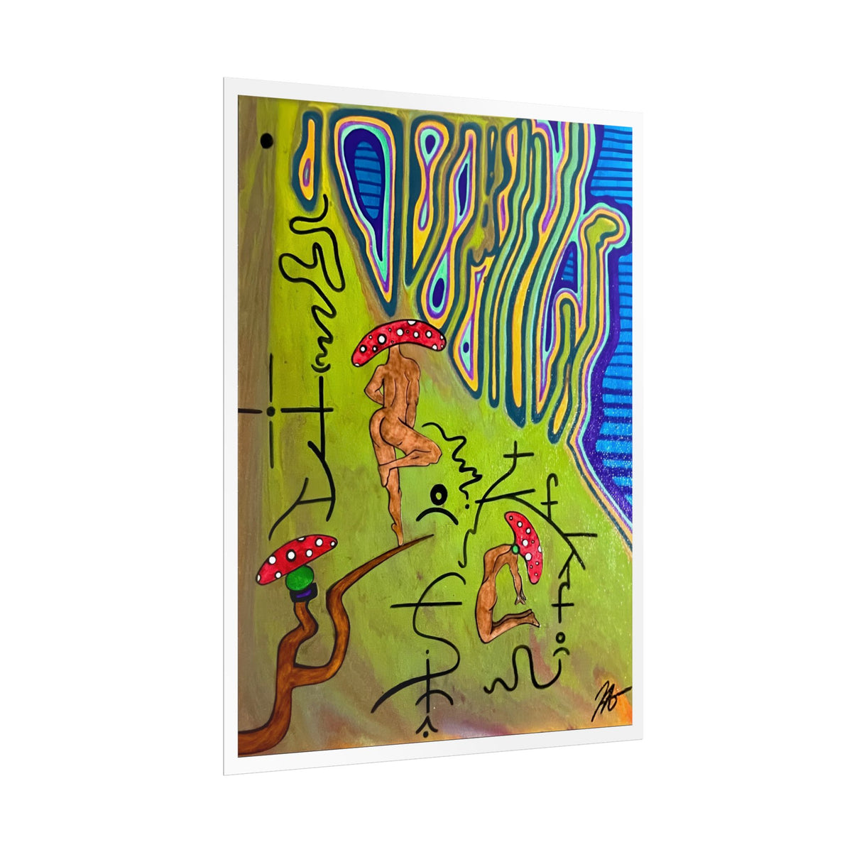 ‘Paradise Falls’ 12x16 Poster